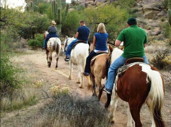 Cave Creek Outfitters horseback trail riding: #1 Scottsdale attraction on TripAdvisor