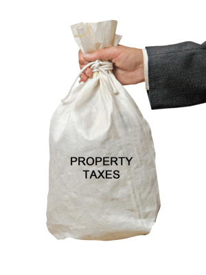 Property taxes can be paid in one or two installments