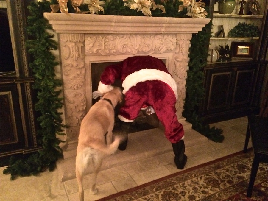 Merry Christmas from The Matheson Team!