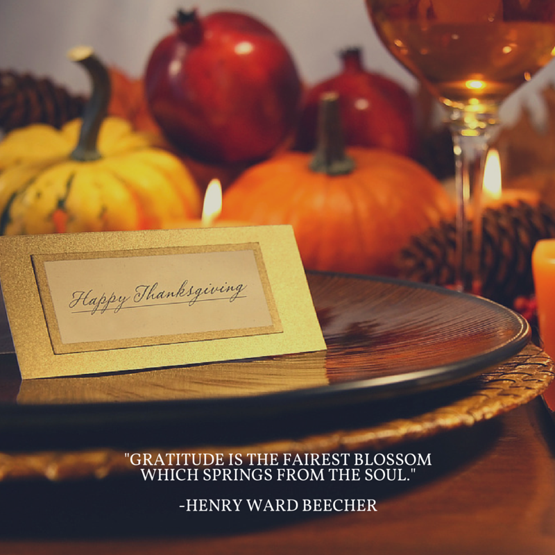 Happy Thanksgiving from The Matheson Team!