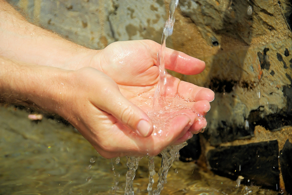 One of our most precious resources and Scottsdale