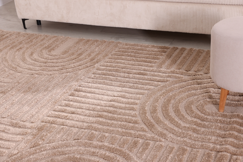 Choose an Area Rug for Your Home