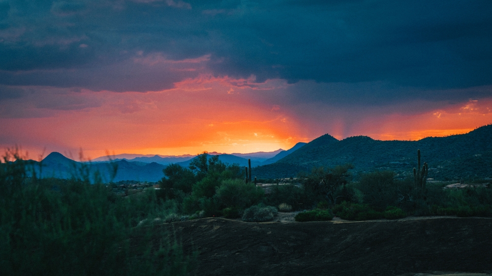 Blog Photo