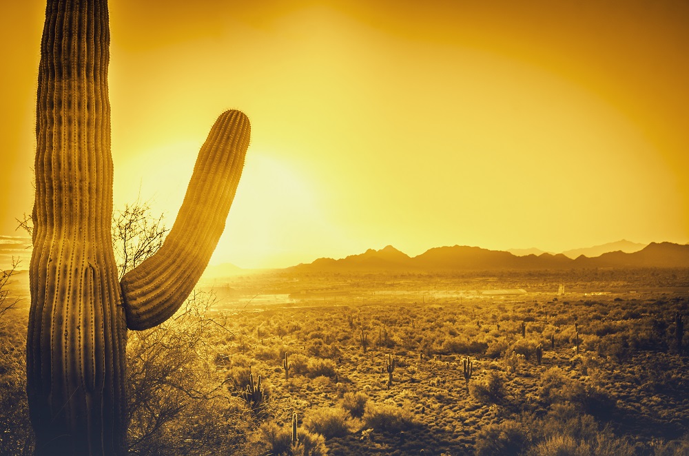 Best Labor Day Hikes in Scottsdale - Scottsdale AZ Golf Course Homes for Sale