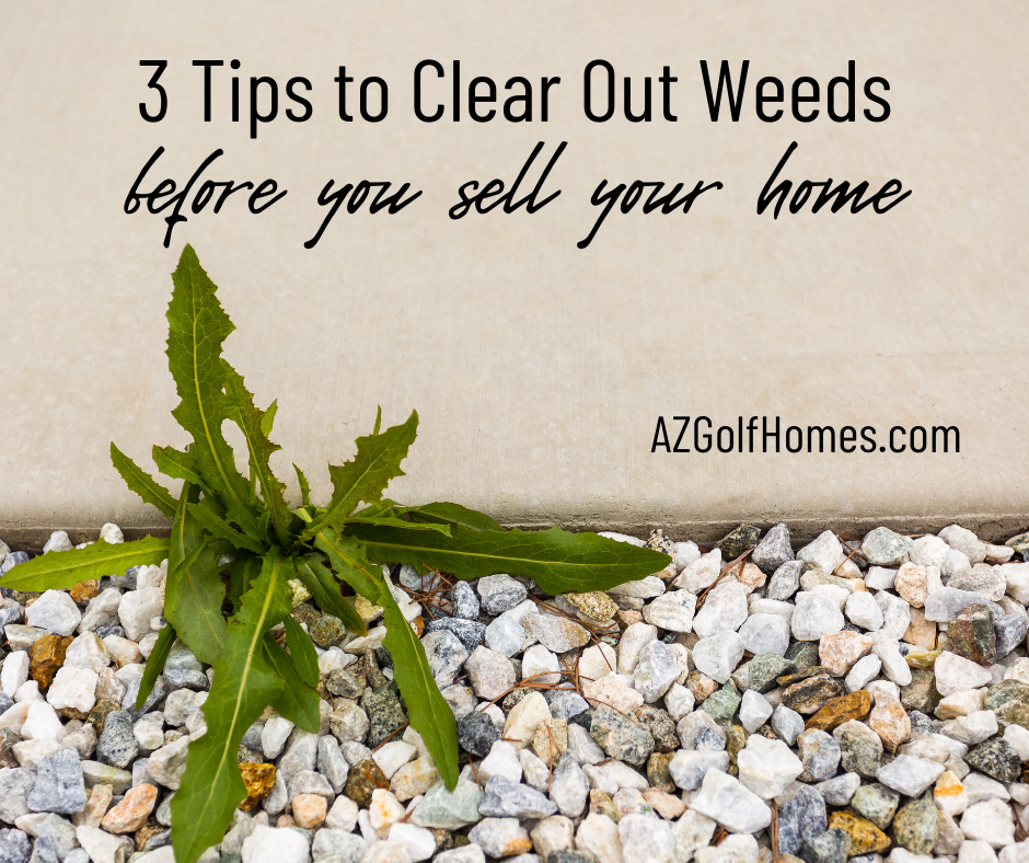 3 Tried-and-True Ways to Get Weeds Out of Your Yard Before You Sell Your Home