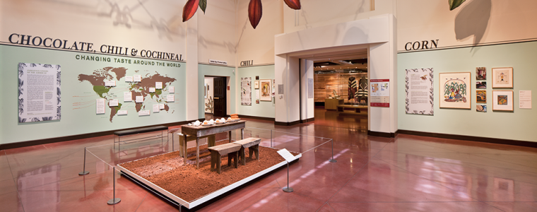 Chocolate, chili and cochineal exhibit at the Heard