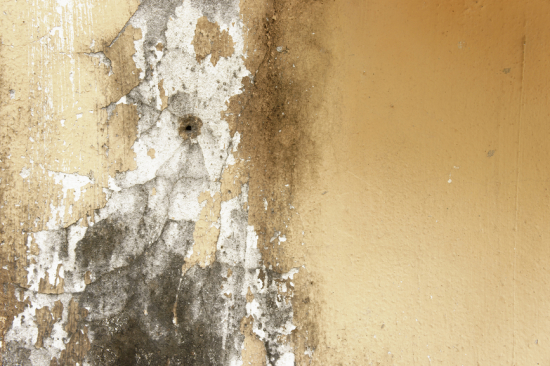 Mold in your home is not always as obvious as this