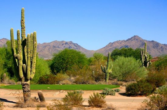 Top rated Grayhawk Golf Club in Scottsdale