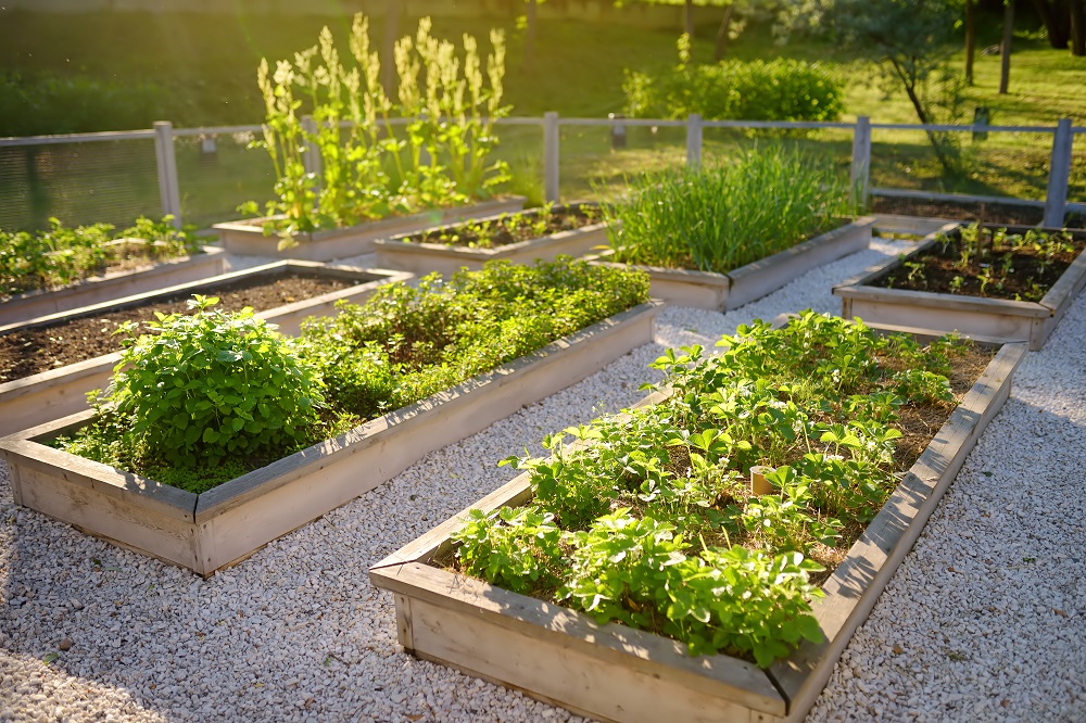 Landscaping Tip to Sell Your Home This Summer - Raised Garden Beds