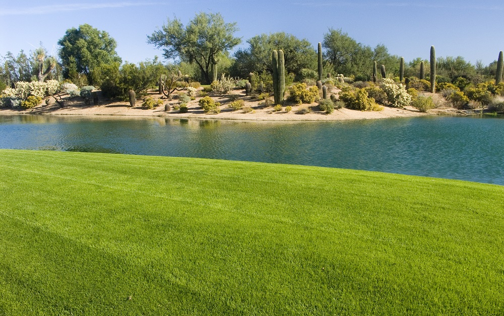 Most Expensive Homes in Scottsdale, AZ - Golf Course Views