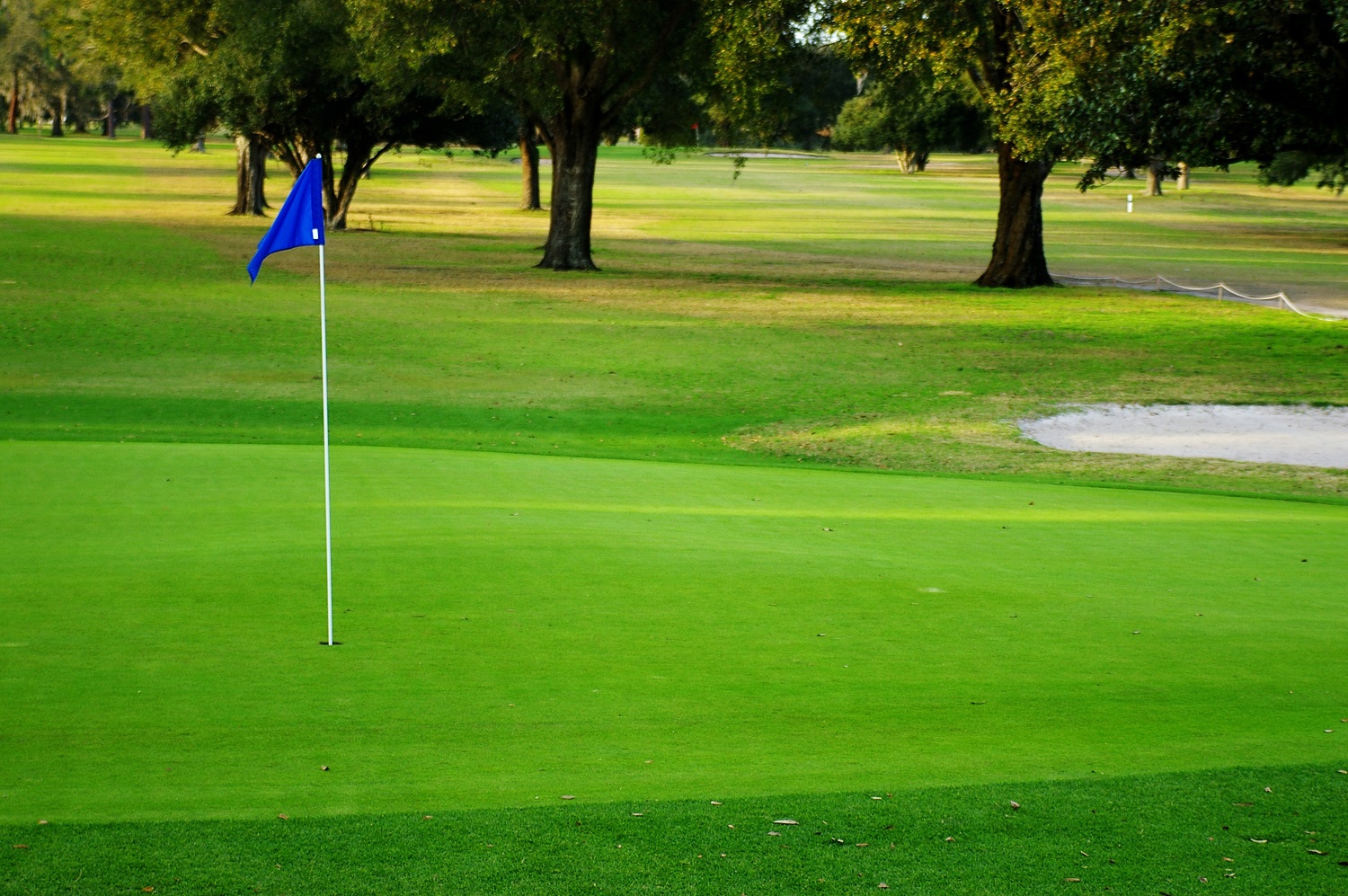Should You Buy a Golf Course Home in Scottsdale - The Matheson Group