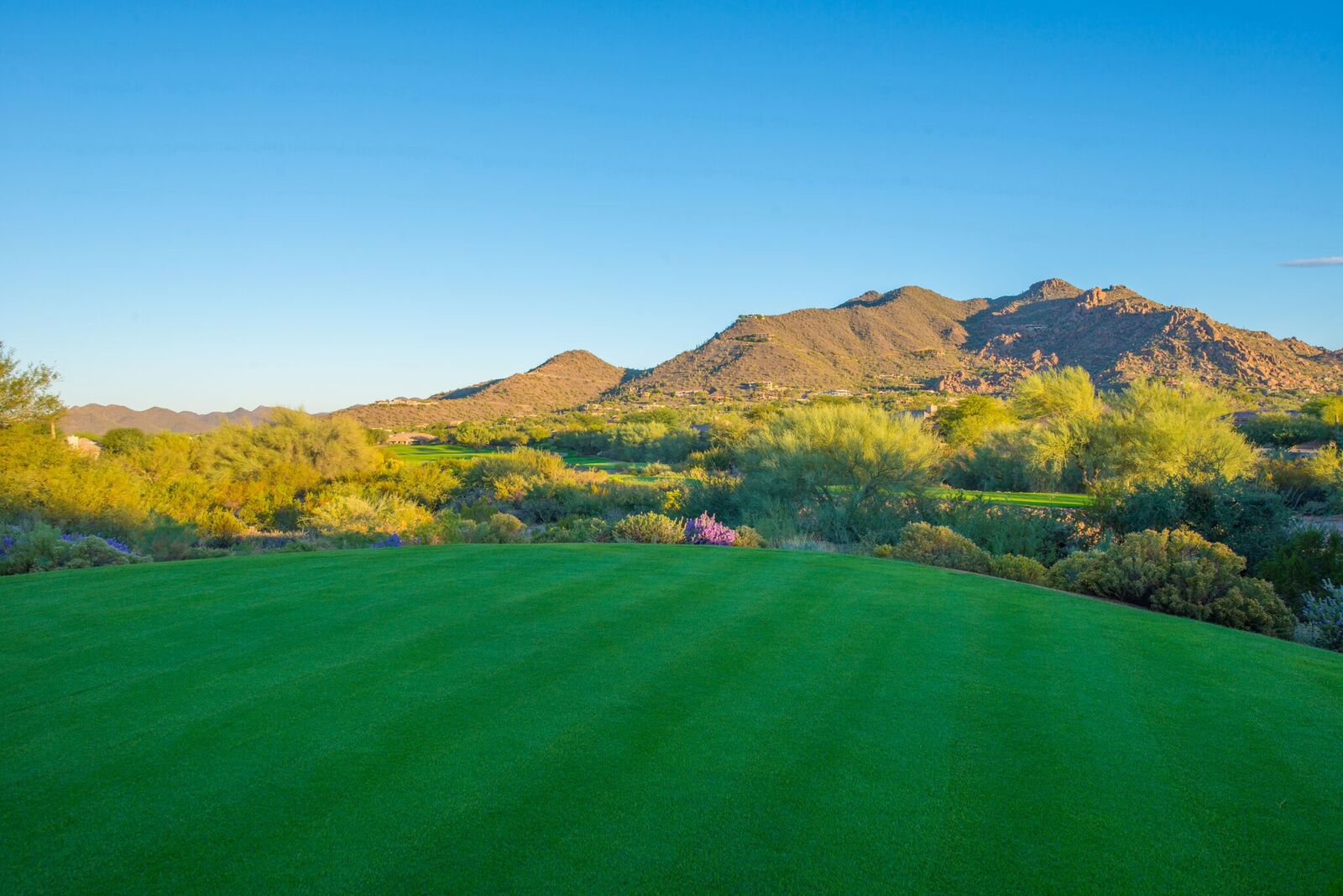 Terravita Golf Club and Scottsdale Golf Homes