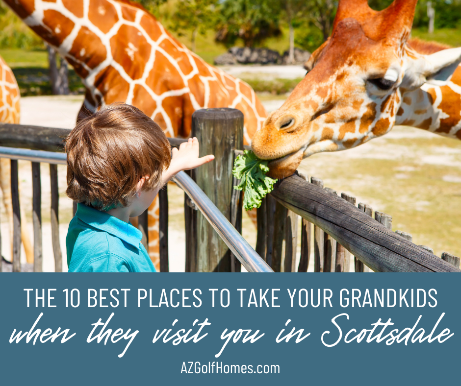 10 Fabulous Places to Take Your Grandkids When They Visit You in Scottsdale