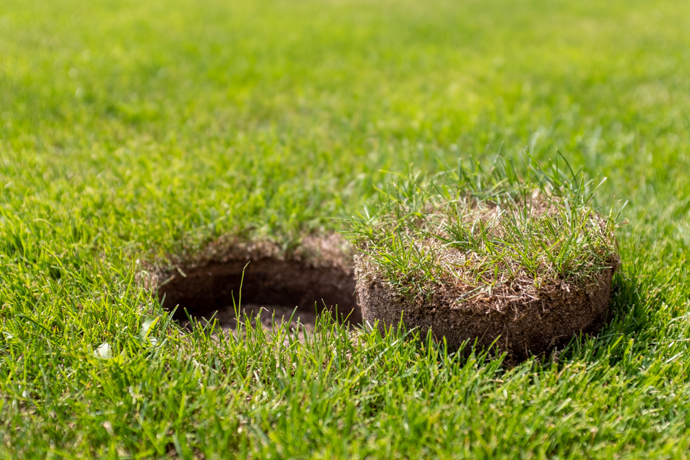 5 Exterior Maintenance Tasks You Must Complete Before